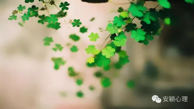 1570697385666755.jpg 640.webp (8).jpg